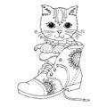 The pussy in a Boot. Royalty Free Stock Photo